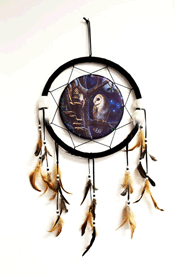 Magic Owl Dreamcatcher